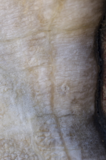 20137000146NUC2A © Région Bourgogne-Franche-Comté, Inventaire du patrimoine 20137000146NUC2A © Région Bourgogne-Franche-Comté, Inventaire du patrimoine