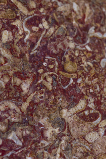 20137000149NUC2A © Région Bourgogne-Franche-Comté, Inventaire du patrimoine 20137000149NUC2A © Région Bourgogne-Franche-Comté, Inventaire du patrimoine