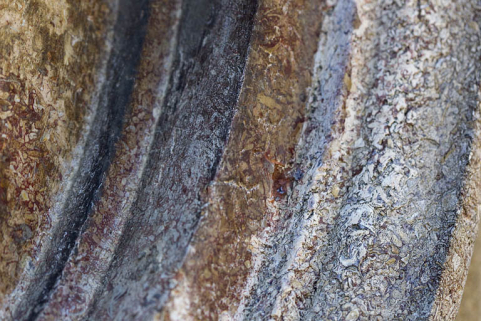 20137000153NUC2A © Région Bourgogne-Franche-Comté, Inventaire du patrimoine 20137000153NUC2A © Région Bourgogne-Franche-Comté, Inventaire du patrimoine