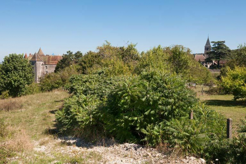 L'église et le château, vue ouest © Région Bourgogne-Franche-Comté, Inventaire du patrimoine L'église et le château, vue ouest © Région Bourgogne-Franche-Comté, Inventaire du patrimoine