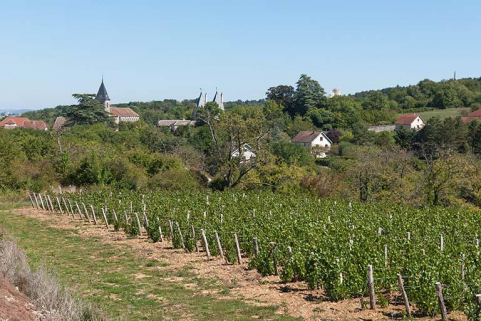 Vignes, ouest de la ville © Région Bourgogne-Franche-Comté, Inventaire du patrimoine Vignes, ouest de la ville © Région Bourgogne-Franche-Comté, Inventaire du patrimoine