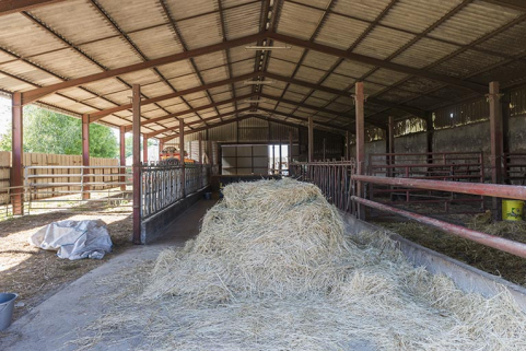 Dans le hangar de stabulation libre. © Région Bourgogne-Franche-Comté, Inventaire du patrimoine