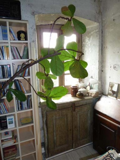 Baie de la façade sud, étage © Région Bourgogne-Franche-Comté, Inventaire du patrimoine Baie de la façade sud, étage © Région Bourgogne-Franche-Comté, Inventaire du patrimoine