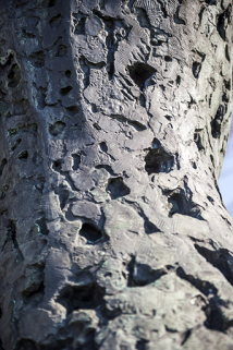 Détail. © Région Bourgogne-Franche-Comté, Inventaire du patrimoine