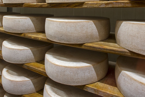 Cave d'affinage du Coeur de Joux : détail des fromages. © Région Bourgogne-Franche-Comté, Inventaire du patrimoine
