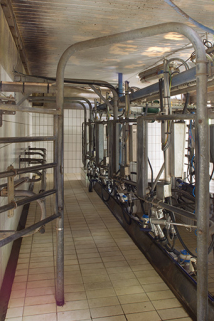 Salle de traite de l'étable ouest. © Région Bourgogne-Franche-Comté, Inventaire du patrimoine