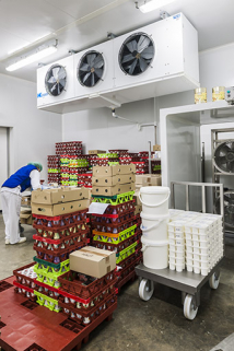 Détail de conditionnement. © Région Bourgogne-Franche-Comté, Inventaire du patrimoine