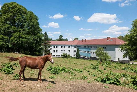 Externat : façade postérieure. © Région Bourgogne-Franche-Comté, Inventaire du patrimoine