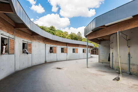 Centre équestre  : chevaux dans leurs boxes. © Région Bourgogne-Franche-Comté, Inventaire du patrimoine