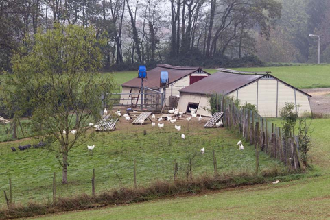 Les deux poulaillers sud.  © Région Bourgogne-Franche-Comté, Inventaire du patrimoine