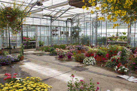 Dans la serre magasin. © Région Bourgogne-Franche-Comté, Inventaire du patrimoine