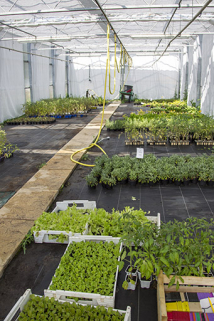 Vue intérieure d'une serre. © Région Bourgogne-Franche-Comté, Inventaire du patrimoine