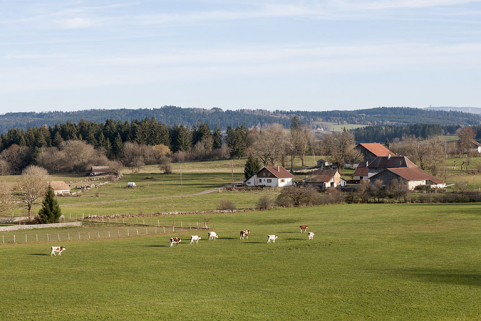 La campagne maîchoise au Grand Vau. © Région Bourgogne-Franche-Comté, Inventaire du patrimoine