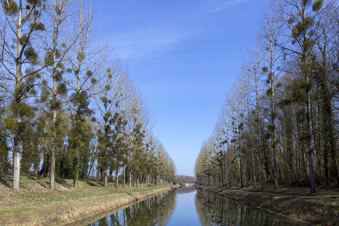 Vue vers l'amont depuis la porte de garde. © Région Bourgogne-Franche-Comté, Inventaire du patrimoine Vue vers l'amont depuis la porte de garde. © Région Bourgogne-Franche-Comté, Inventaire du patrimoine