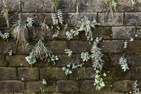 Détail sur la maçonnerie d'une écluse. © Région Bourgogne-Franche-Comté, Inventaire du patrimoine