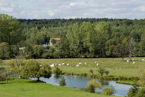 Le Coney et la maison d'éclusier vue du sud-est.  © Région Bourgogne-Franche-Comté, Inventaire du patrimoine