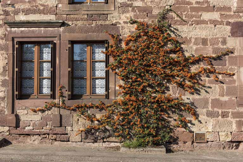 Ferme construite en grès des Vosges. © Région Bourgogne-Franche-Comté, Inventaire du patrimoine Ferme construite en grès des Vosges. © Région Bourgogne-Franche-Comté, Inventaire du patrimoine