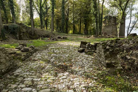 Chemin d'accès et vue sur la tour ouest.  © Région Bourgogne-Franche-Comté, Inventaire du patrimoine