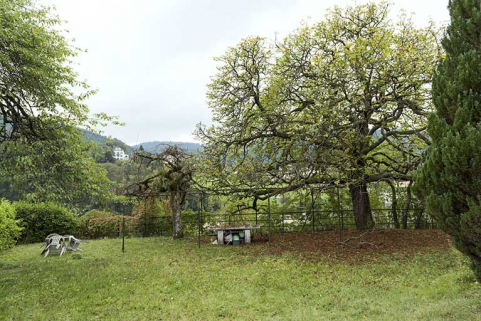 Ancienne pergola, au sud. © Région Bourgogne-Franche-Comté, Inventaire du patrimoine Ancienne pergola, au sud. © Région Bourgogne-Franche-Comté, Inventaire du patrimoine