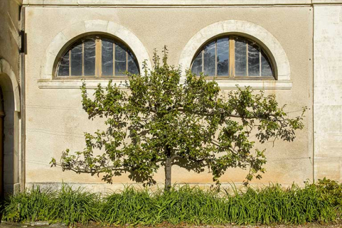 Détail de la façade antérieure au sud-est : deux baies en demi-cercle. © Région Bourgogne-Franche-Comté, Inventaire du patrimoine