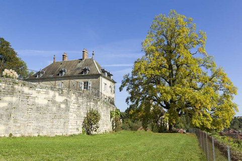 Vue générale depuis la 1ère terrasse, avec à droite le tulipier de Virginie. © Région Bourgogne-Franche-Comté, Inventaire du patrimoine