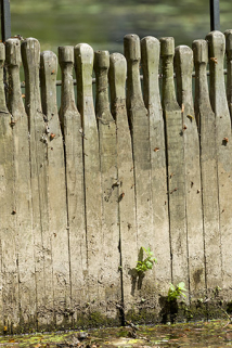 Détail des aiguilles. © Région Bourgogne-Franche-Comté, Inventaire du patrimoine Détail des aiguilles. © Région Bourgogne-Franche-Comté, Inventaire du patrimoine