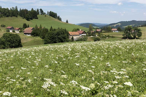 20172500804NUC4A © Région Bourgogne-Franche-Comté, Inventaire du patrimoine 20172500804NUC4A © Région Bourgogne-Franche-Comté, Inventaire du patrimoine