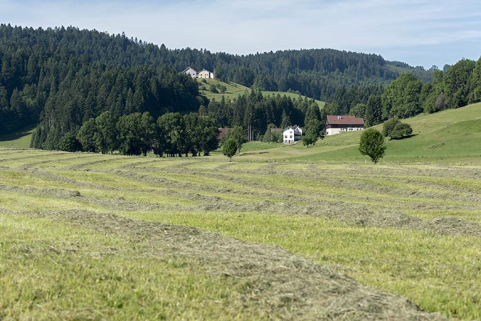 Vue d'ensemble éloignée des Jean-Jacquot, depuis le nord-est. © Région Bourgogne-Franche-Comté, Inventaire du patrimoine Vue d'ensemble éloignée des Jean-Jacquot, depuis le nord-est. © Région Bourgogne-Franche-Comté, Inventaire du patrimoine