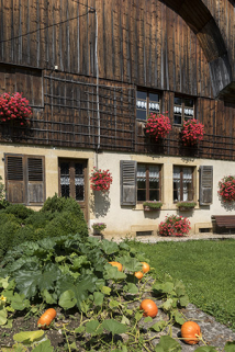 Ferme, façade antérieure : baies et lambrichure. © Région Bourgogne-Franche-Comté, Inventaire du patrimoine