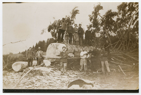 Abattage du sapin Stevenson à la Roche Bercail [près de Morteau, par les bûcherons de la scierie Bourdenet], 1ère moitié 20e siècle. © Région Bourgogne-Franche-Comté, Inventaire du patrimoine
