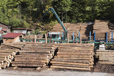 Chariot de tronçonnage Baljer Zembrod. © Région Bourgogne-Franche-Comté, Inventaire du patrimoine Chariot de tronçonnage Baljer Zembrod. © Région Bourgogne-Franche-Comté, Inventaire du patrimoine