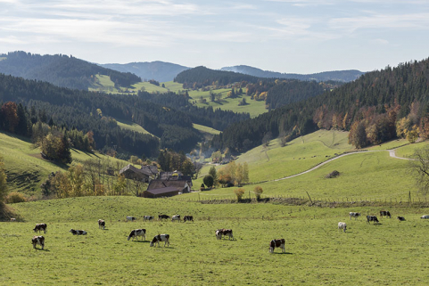 Vue d'ensemble de la vallée de la Douve depuis le Rondot, au nord-est. © Région Bourgogne-Franche-Comté, Inventaire du patrimoine