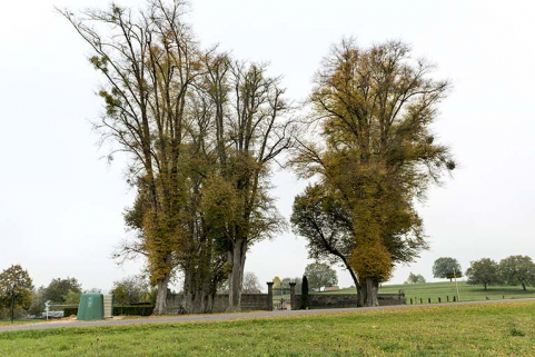 Le cimetière : vue d'ensemble. © Région Bourgogne-Franche-Comté, Inventaire du patrimoine