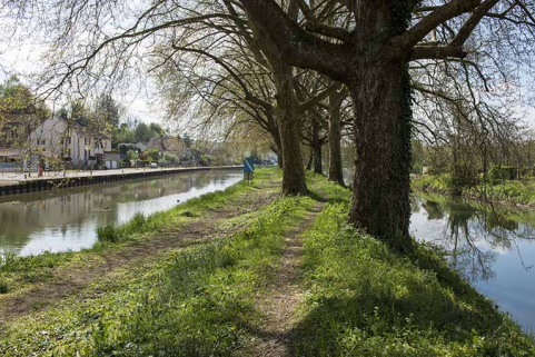 La digue séparant le canal de la rivière. © Région Bourgogne-Franche-Comté, Inventaire du patrimoine La digue séparant le canal de la rivière. © Région Bourgogne-Franche-Comté, Inventaire du patrimoine