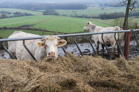 Le pays de Purgerot. © Région Bourgogne-Franche-Comté, Inventaire du patrimoine
