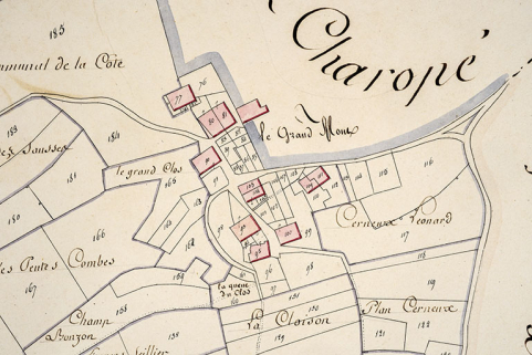 Cadastre de la commune des Gras. Atlas parcellaire, 1816, section D 2e feuille [détail : le Grand Mont], 1/2 500. © Région Bourgogne-Franche-Comté, Inventaire du patrimoine