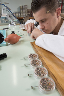 Horloger à l'établi : assemblage d'une montre. © Région Bourgogne-Franche-Comté, Inventaire du patrimoine
