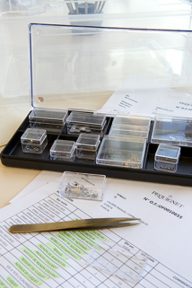 Kit de production (composants nécessaires au montage de 10 mouvements). © Région Bourgogne-Franche-Comté, Inventaire du patrimoine Kit de production (composants nécessaires au montage de 10 mouvements). © Région Bourgogne-Franche-Comté, Inventaire du patrimoine