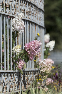 Clôture : lilas dépassant de la grille. © Région Bourgogne-Franche-Comté, Inventaire du patrimoine