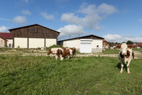Caves d'affinage de 1991 et 197. © Région Bourgogne-Franche-Comté, Inventaire du patrimoine Caves d'affinage de 1991 et 197. © Région Bourgogne-Franche-Comté, Inventaire du patrimoine
