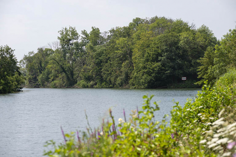 Ile au miieu de la Saône. © Région Bourgogne-Franche-Comté, Inventaire du patrimoine