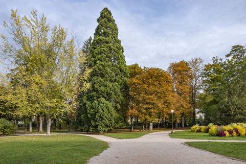 parc © Région Bourgogne-Franche-Comté, Inventaire du patrimoine parc © Région Bourgogne-Franche-Comté, Inventaire du patrimoine