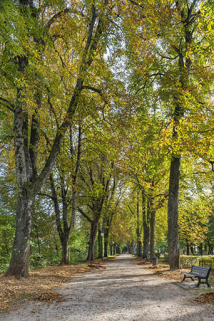 parc © Région Bourgogne-Franche-Comté, Inventaire du patrimoine parc © Région Bourgogne-Franche-Comté, Inventaire du patrimoine