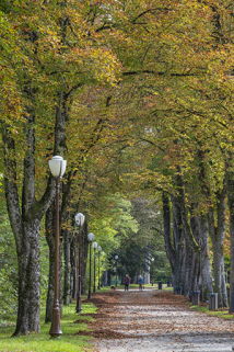 parc © Région Bourgogne-Franche-Comté, Inventaire du patrimoine parc © Région Bourgogne-Franche-Comté, Inventaire du patrimoine