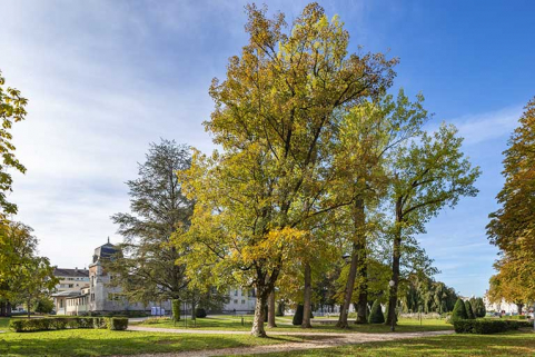 parc © Région Bourgogne-Franche-Comté, Inventaire du patrimoine parc © Région Bourgogne-Franche-Comté, Inventaire du patrimoine