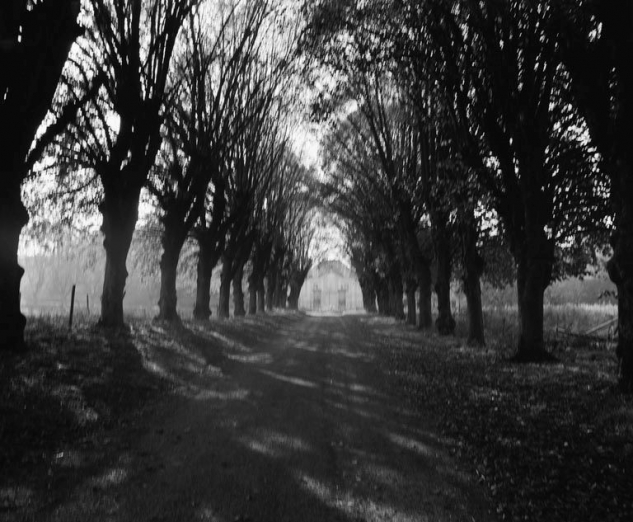 Vue depuis l'allée. © Région Bourgogne-Franche-Comté, Inventaire du patrimoine