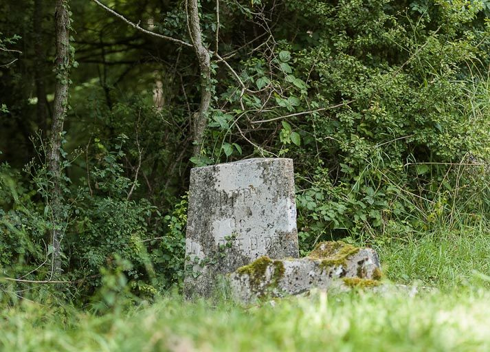 Borne de séparation des deux départements. © Région Bourgogne-Franche-Comté, Inventaire du patrimoine