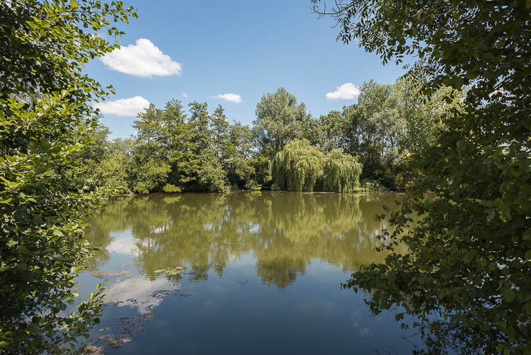 La digue, dissimulée par les arbres. © Région Bourgogne-Franche-Comté, Inventaire du patrimoine