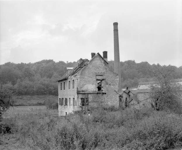 Vestiges de l'usine de Lafeschotte du Haut en 1981. Vue depuis le nord-est. © Région Bourgogne-Franche-Comté, Inventaire du patrimoine