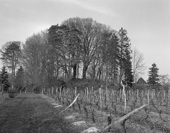 Vestiges vus depuis les vignes. © Région Bourgogne-Franche-Comté, Inventaire du patrimoine